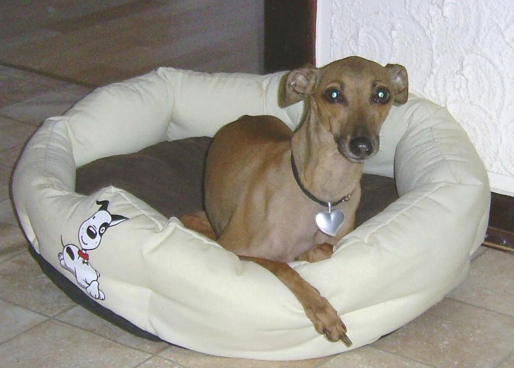 bonita24